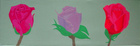 Rosenknospe; 30 x 90 cm; EUR 120,-; Profile: Gitta; 