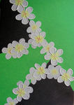 Greenplumeria; 50x70; EUR 125,-; Profil: Gitta;