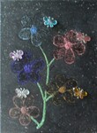 Gi178; 30 x 40 cm; EUR 55,-; Profil: Gitta;